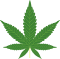 Marijuana Leaf